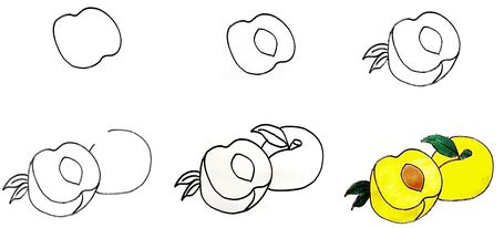 How To Draw The Apricots: Every drop of excellent, full of goodness