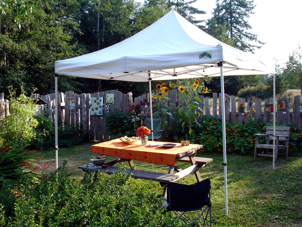 Choosing the Right Color and Material for Your 10×10 Canopy